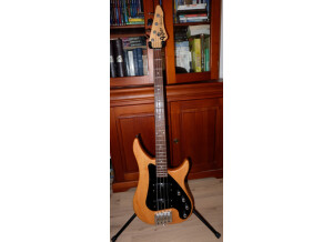 Vigier Excess I (71993)