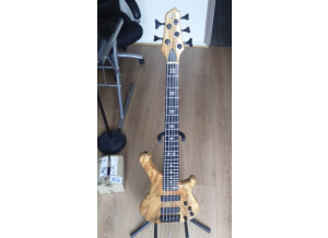 WSL Guitars Play Me Hard 5 (1110)