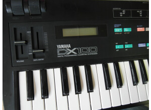 Yamaha DX100 (35244)