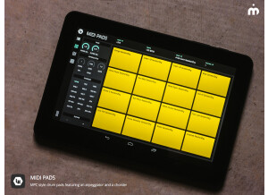 Midi pads screenshot android 10