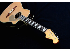 Fender Malibu SCE [2012-2013]