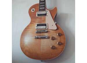 Gibson Les Paul Standard Faded '50s Neck (82878)