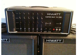 Hiwatt DR112 Custom Built P.A. 100 (48359)