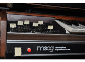 Moog Music Satellite (63779)