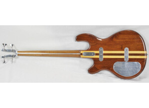 Hofner Guitars Violin Bass Contemporary Series (18345)
