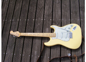 Valley & Blues Stratocaster (61086)
