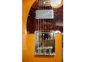 Luthier TELECASTER CUSTOM SHOP (luthier) (65568)