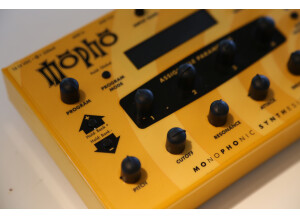 Dave Smith Instruments Mopho (4991)
