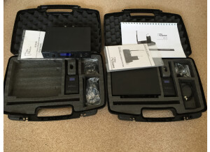 The T.bone IEM 100 (31397)