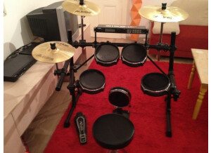 Alesis DM5 Pro Kit Surge Cymbals (7983)