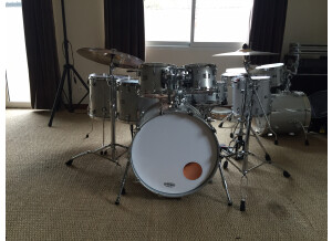 Yamaha Absolute Hybrid Maple - Gold Champagne Sparkle