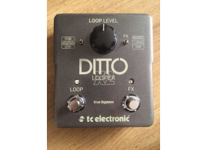 TC Electronic Ditto X2 (93216)
