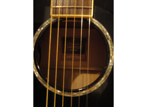 Yamaha CPX 1000 TBL