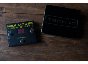 Tech 21 Midi Mouse (69852)