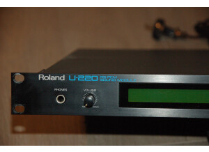 Roland U-220 (13024)