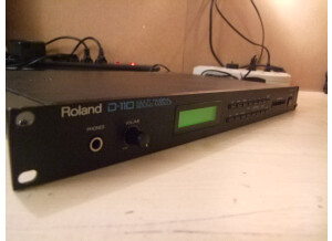 Roland D-110 (59992)