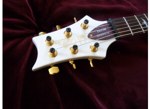 PRS Dave Navarro Model - Jet White (54600)