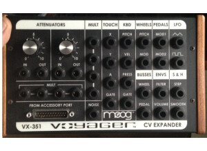 Moog Music VX-351 (75064)