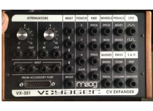 Moog Music Minimoog Voyager Performer Edition (73600)