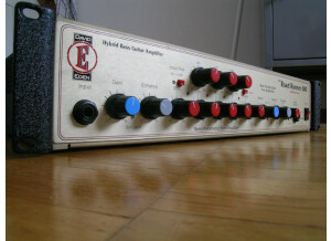 Eden Bass Amplification WT-600 The Road Runner (31067)