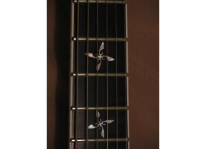 ESP Ninja-II NT (20392)