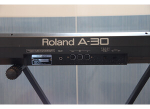Roland A-30 (21438)