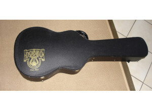 Gibson DM-33 (25886)