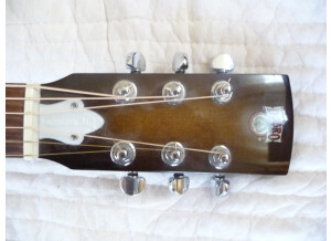 Gibson DM-33 (38990)