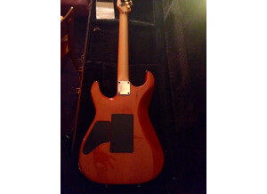 Tom Anderson Drop Top (3939)