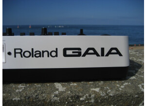 Roland GAIA SH-01 4