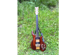 Aventini guitare XRS (81663)