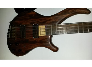 Noguera Expression 4 Cordes