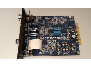 Grace Design m501 (93746)