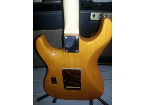 Tom Anderson Classic (29109)