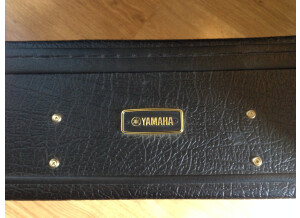 Yamaha FG-180-1 (87307)