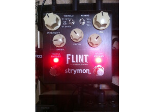 Strymon Flint (97030)
