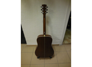 Cort Earth 100TF (50780)