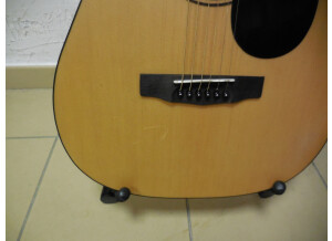 Cort AD510