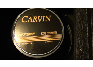 Carvin GT12 100W