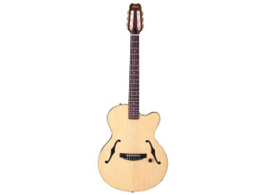 Yamaha AEX500N2 (78600)