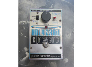 Electro-Harmonix Holy Grail (98976)