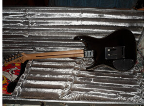 Ibanez JS2 PRM (9085)