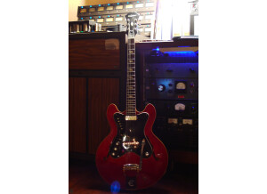 Epiphone Professional (74530)