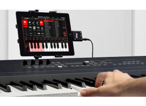 IK Multimedia iRig MIDI (41492)