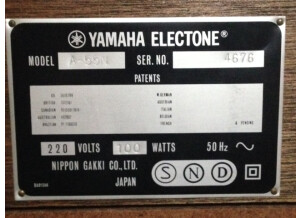 Yamaha Electone A55N