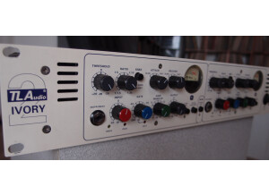 TL Audio 5021 2-Channel Tube Compressor (53391)