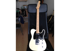 Fender American Special Telecaster - Olympic White Maple