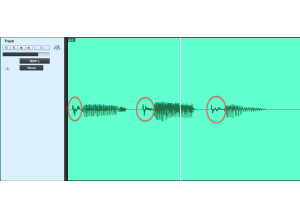 Plosives Annotated