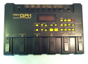 Roland GR-1 (77307)