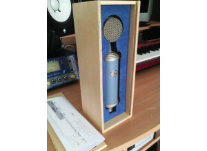 Blue Microphones Bluebird (43803)